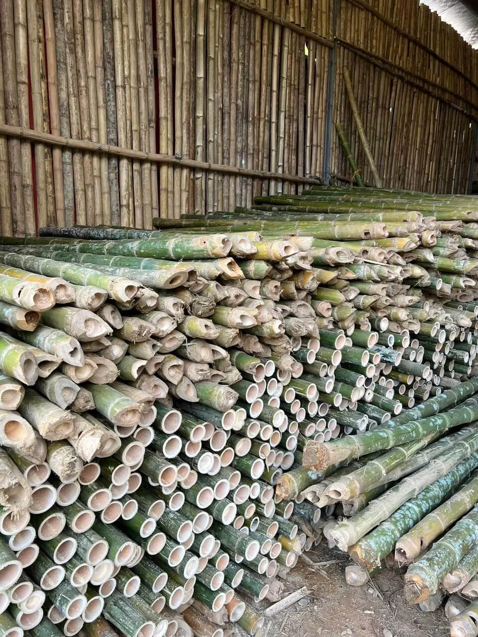 Quy Trình & Kỹ Thuật Đóng Cọc Tre Gia Cố Nền Móng Chuẩn TCVN 9361:2012
