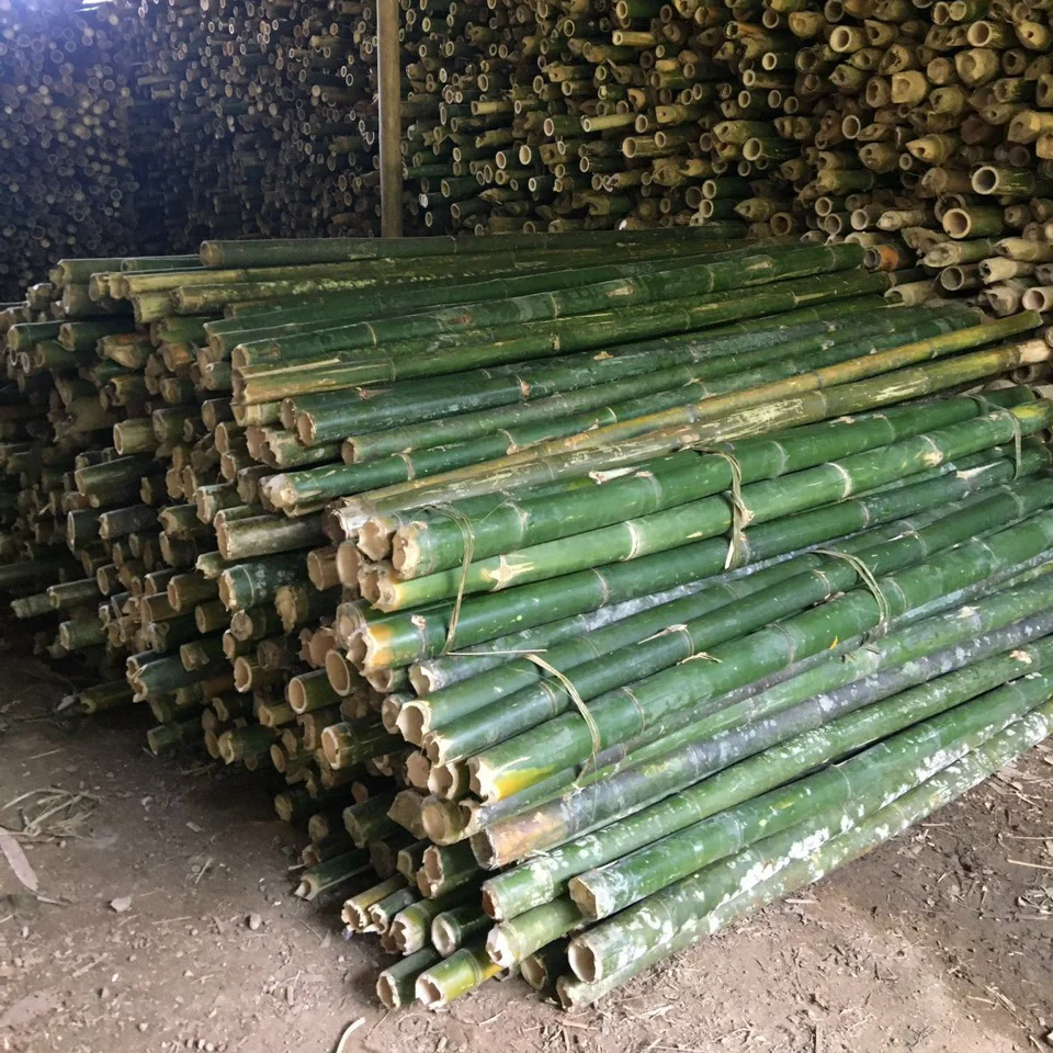 Cọc Tre 2,5m (Ø 7 - 9.5cm)