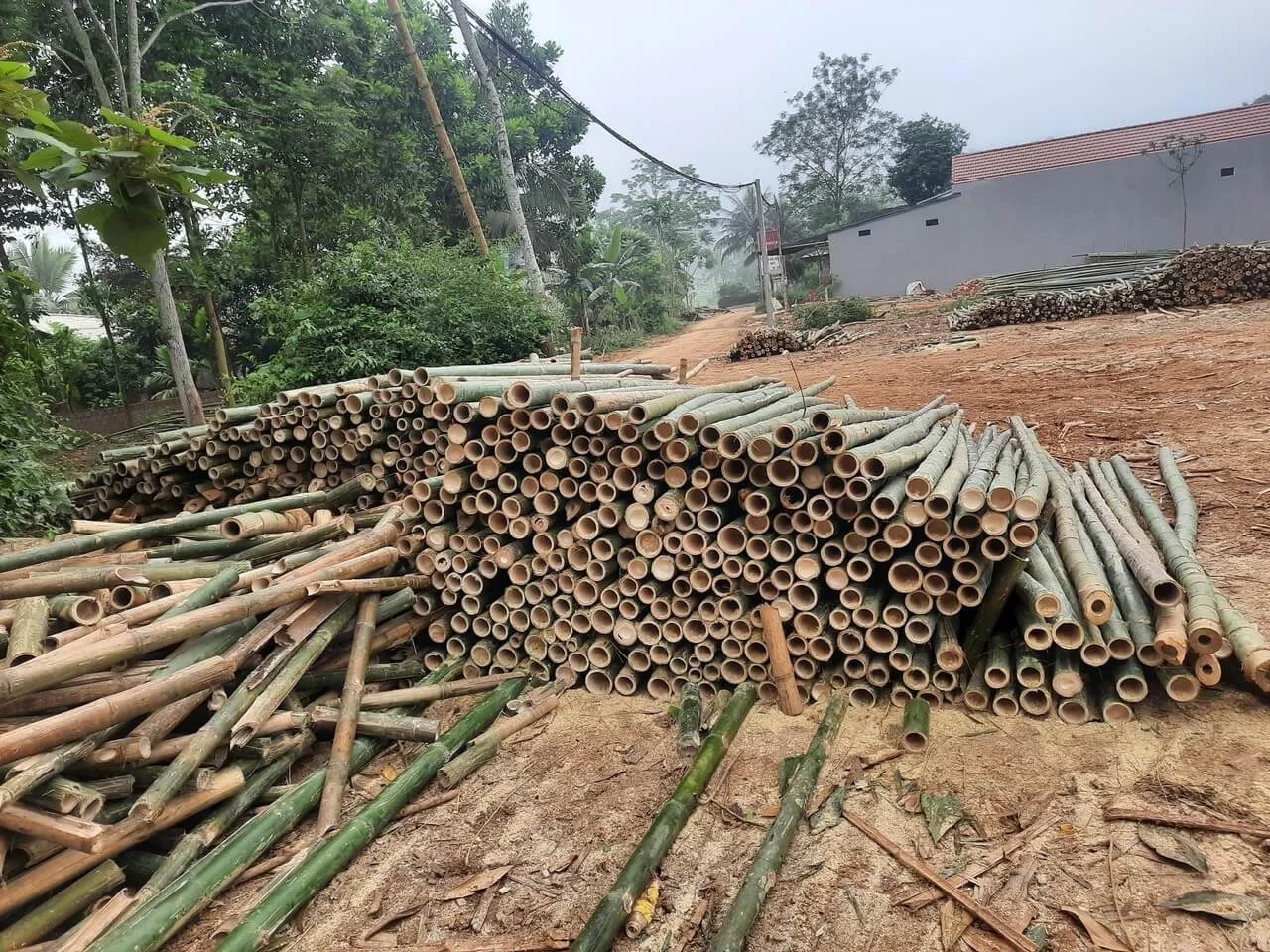 Kè Bờ Sông Đáy Chống Sạt Lở Mùa Mưa Lũ